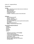 Section 13.2 – Segmented Worms Characteristics Annelids Setae