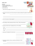 Endocrine System: Overview