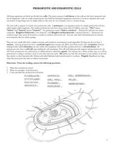 PROKARYOTIC AND EUKARYOTIC CELLS