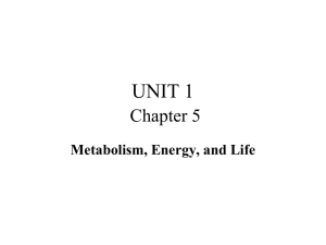 Unit1Chpt5