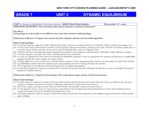 UNIT 1 – FORCE AND MOTION (SEPUP Force