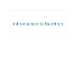 Nutrition PowerPoint - Boone County Schools