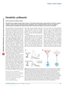 dendritic integration