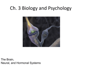 Biology and Behavior