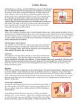 Crohn`s Disease - Mysummitgi.com