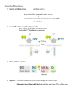 Ch 8 - Photosynthesis