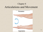 Articulations and Movement