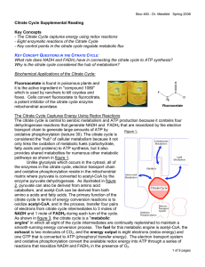 Citrate Cycle Supplemental Reading Key Concepts