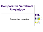 Comparative Vertebrate Physiology