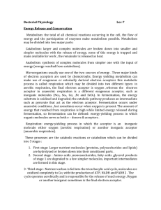 Bacterial Physiology Lec-7 Energy Release and Conservation