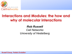 Russell Group, Protein Evolution