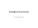 Ecological Succession