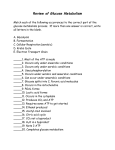 Review of Glucose Metabolism File