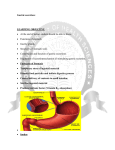 Gastric secretion