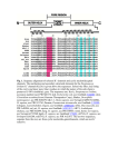 Fig. 1. Sequence alignment of selected K+ channels and cyclic