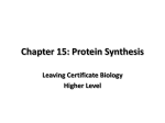 Chapter 15: Protein Synthesis