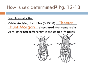 Notes-Sex Linked Traits and Polygenic Traits