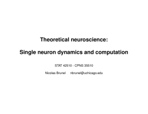 Theoretical neuroscience: Single neuron dynamics and computation