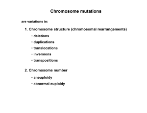 Chromosome mutations