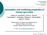 Optical properties of the human tissue