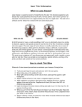 Deer Tick Information