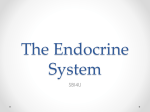 The Endocrine System