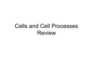 cell membrane