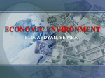 economic environment