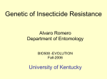 Genetic of Insecticide resistance