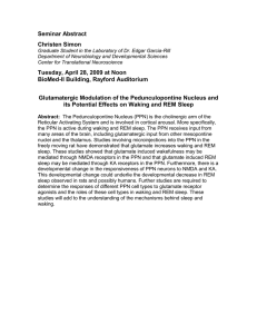 Glutamatergic Modulation of the Pedunculopontine Nucleus and its