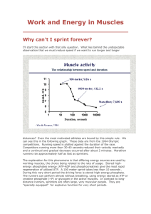 Work and Energy in Muscles