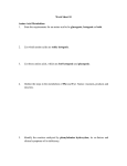 11_Amino Acids