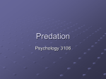 Predation Slides