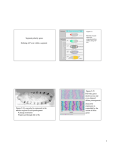 Segment polarity genes Defining A/P axis within a segment Figure