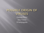 Possible Origin of Viruses