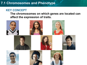 7.1 Chromosomes and Phenotype