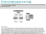 Slide () - Anesthesiology - American Society of Anesthesiologists