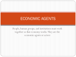 ECONOMIC AGENTS