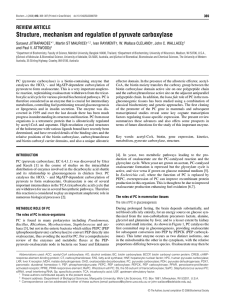 Structure, mechanism and regulation of pyruvate carboxylase