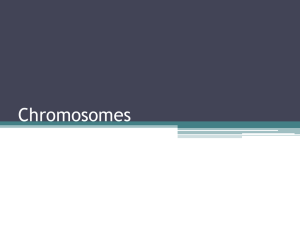 Chromosomes