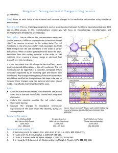 Assignment: Sensing mechanical changes in firing neurons