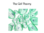 The Cell Theory