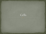 Cells