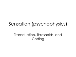 Psychophysics ppt. - Ms. Engel @ South