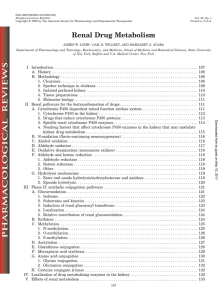 Renal Drug Metabolism - Pharmacological Reviews