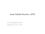 Acute Tubular Necrosis