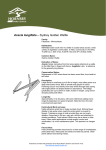 Fact sheet - Acacia longifolia / Sydney Golden Wattle