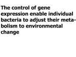 Figure 18.19 Regulation of a metabolic pathway