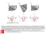 Slide () - AccessAnesthesiology