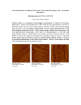 Functionalization of Gallium Nitride with Octadecyltrichlorosilane